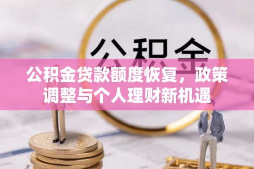 那坡公积金贷款额度恢复，政策调整与个人理财新机遇