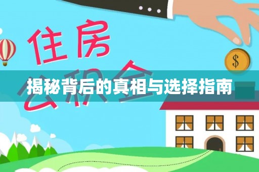 那坡揭秘背后的真相与选择指南