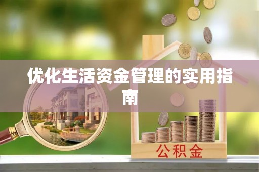 那坡优化生活资金管理的实用指南
