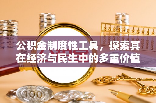 那坡公积金制度性工具，探索其在经济与民生中的多重价值
