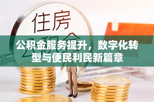 那坡公积金服务提升，数字化转型与便民利民新篇章