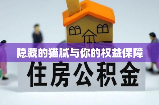 那坡隐藏的猫腻与你的权益保障
