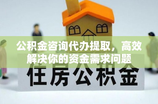 那坡公积金咨询代办提取，高效解决你的资金需求问题