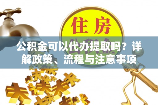 那坡公积金可以代办提取吗？详解政策、流程与注意事项