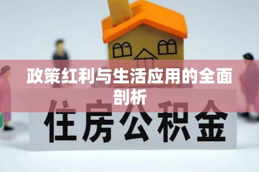 那坡政策红利与生活应用的全面剖析