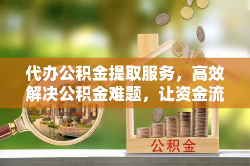 那坡代办公积金提取服务，高效解决公积金难题，让资金流动更自由