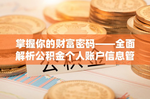 那坡掌握你的财富密码——全面解析公积金个人账户信息管理与优化